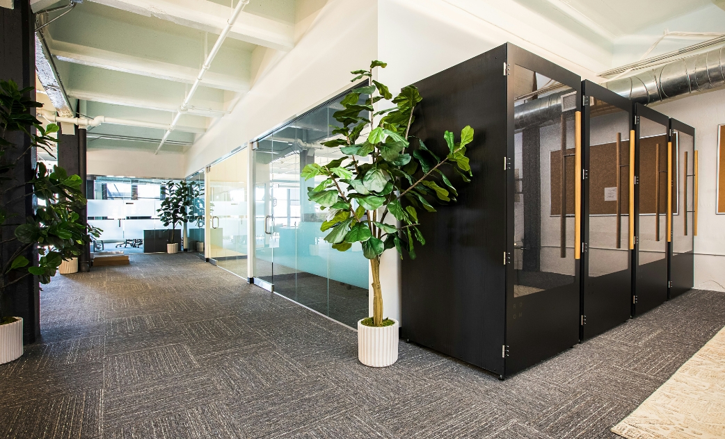 The Best Indoor Plants for Office Buildings