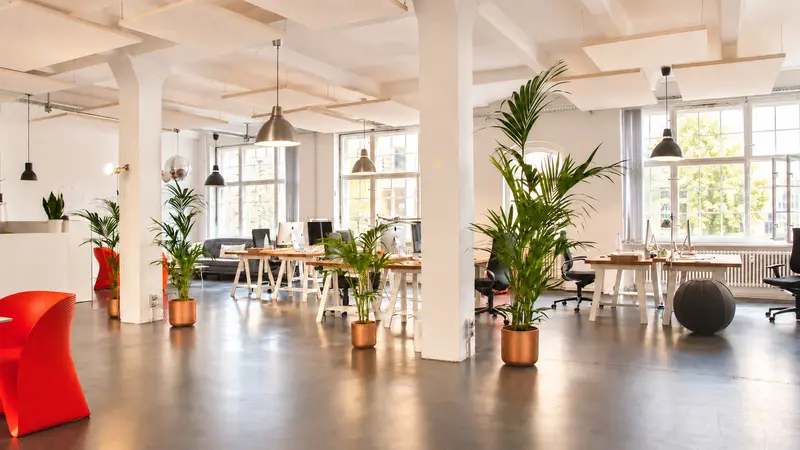 Office Space Management: Open Plan vs Private Layouts